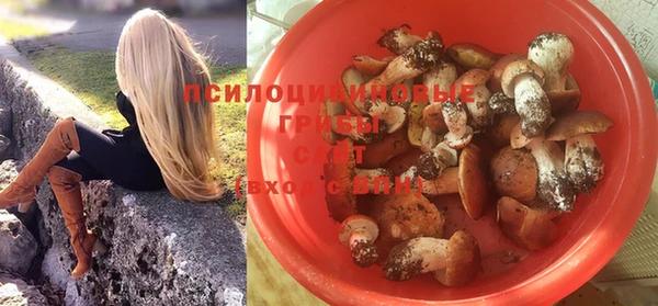 ПСИЛОЦИБИНОВЫЕ ГРИБЫ Пересвет