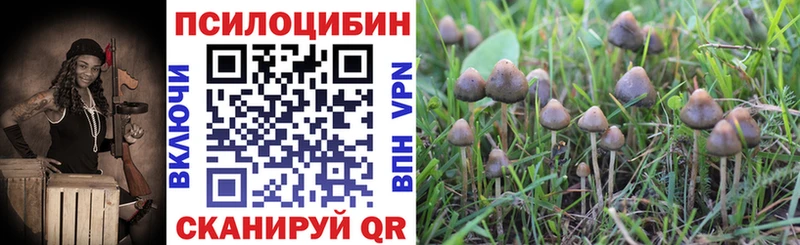 Псилоцибиновые грибы MAGIC MUSHROOMS  как найти закладки  Осташков 